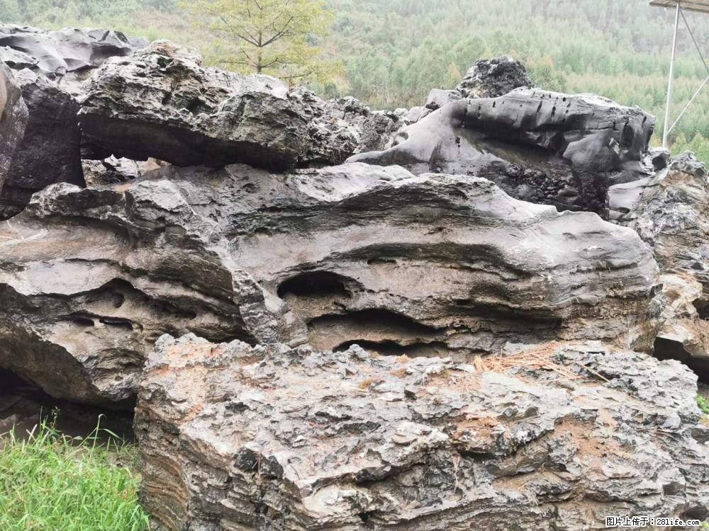 风景石、假山石大量有货，有需要的欢迎联系 - 新手上路 - 六安生活社区 - 六安28生活网 la.28life.net