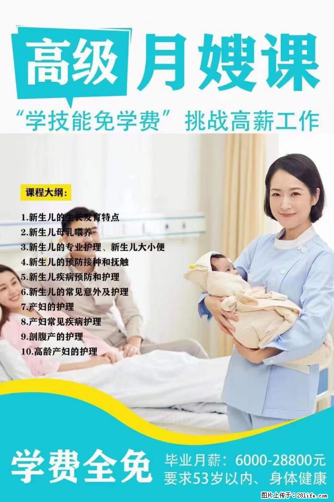 为什么要学习月嫂，育婴师？ - 其他广告 - 广告专区 - 六安分类信息 - 六安28生活网 la.28life.net