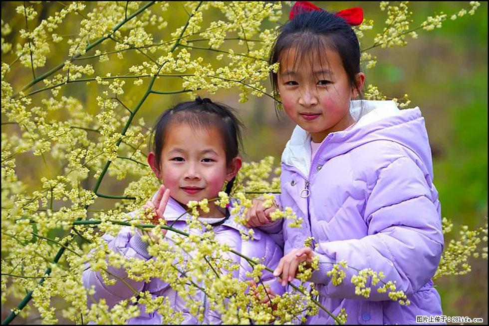 【春天，广西桂林灌阳县向您发出邀请！】米珠山前有片山苍子花在飘香 - 游山玩水 - 六安生活社区 - 六安28生活网 la.28life.net