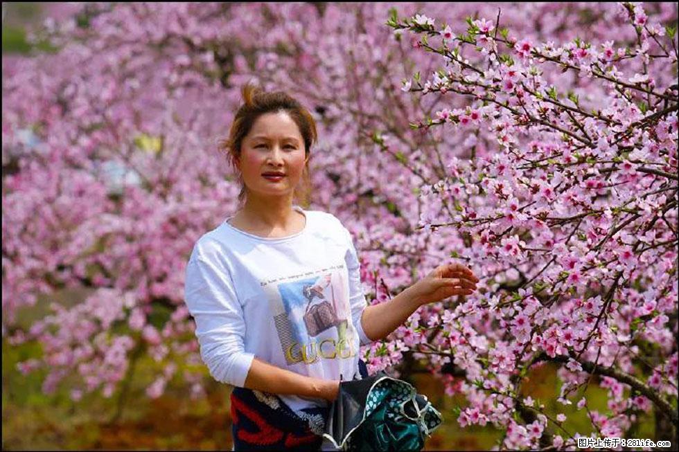 【春天，广西桂林灌阳县向您发出邀请！】官庄村有个醉美的桃花园 - 游山玩水 - 六安生活社区 - 六安28生活网 la.28life.net