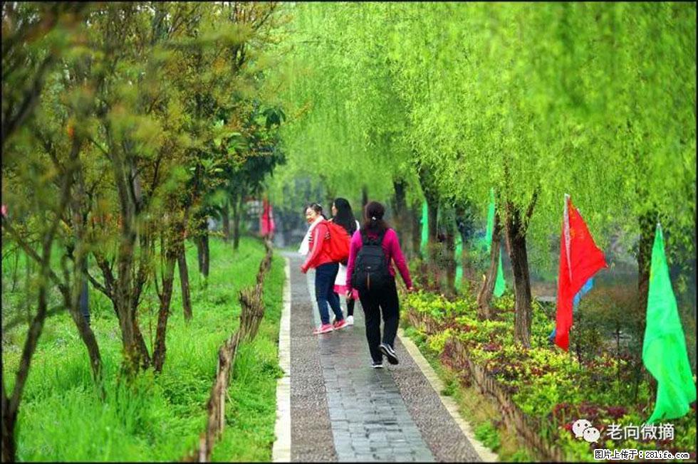【春天，广西桂林灌阳县向您发出邀请！】江口老街又逢春 - 游山玩水 - 六安生活社区 - 六安28生活网 la.28life.net