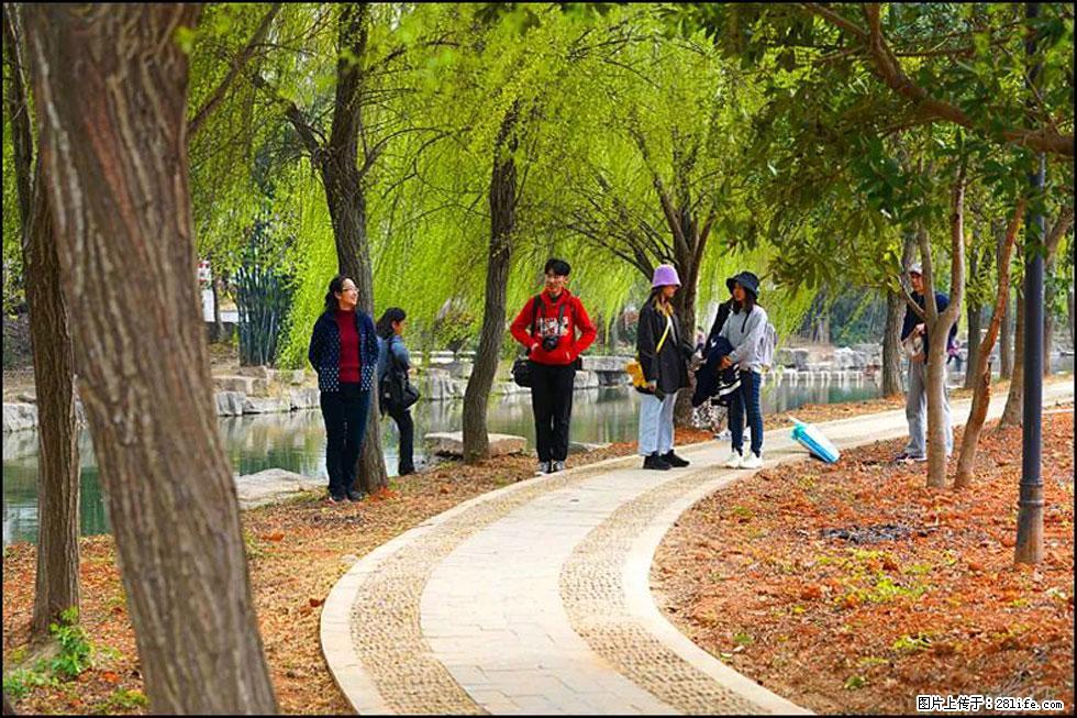 【春天，广西桂林灌阳县向您发出邀请！】江口老街又逢春 - 游山玩水 - 六安生活社区 - 六安28生活网 la.28life.net