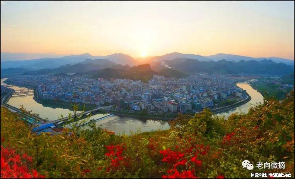 【春天，广西桂林灌阳县向您发出邀请！】登麒麟山，相约映山红 - 游山玩水 - 六安生活社区 - 六安28生活网 la.28life.net