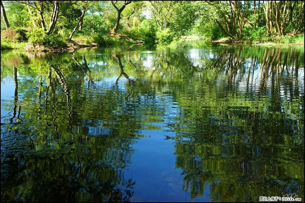 【春天，广西桂林灌阳县向您发出邀请！】熊家寨湿地公园 - 游山玩水 - 六安生活社区 - 六安28生活网 la.28life.net