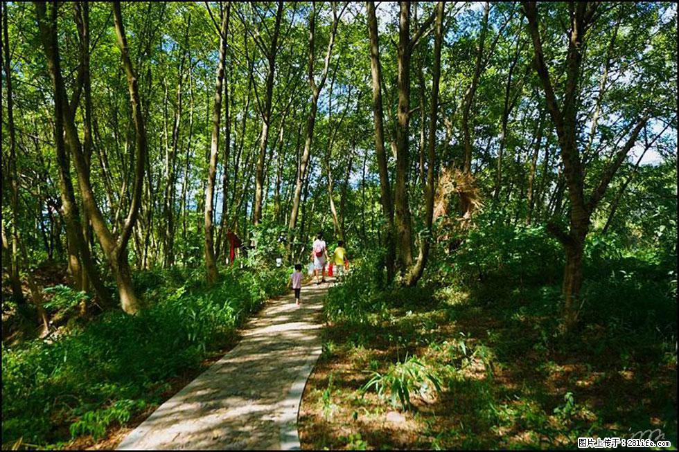 【春天，广西桂林灌阳县向您发出邀请！】熊家寨湿地公园 - 游山玩水 - 六安生活社区 - 六安28生活网 la.28life.net