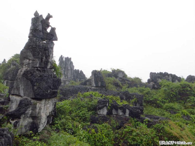 桂林旅游名城景点：灌阳文市石林 - 游山玩水 - 六安生活社区 - 六安28生活网 la.28life.net