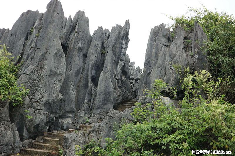 桂林旅游名城景点：灌阳文市石林 - 游山玩水 - 六安生活社区 - 六安28生活网 la.28life.net