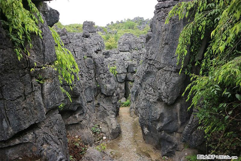 桂林旅游名城景点：灌阳文市石林 - 游山玩水 - 六安生活社区 - 六安28生活网 la.28life.net