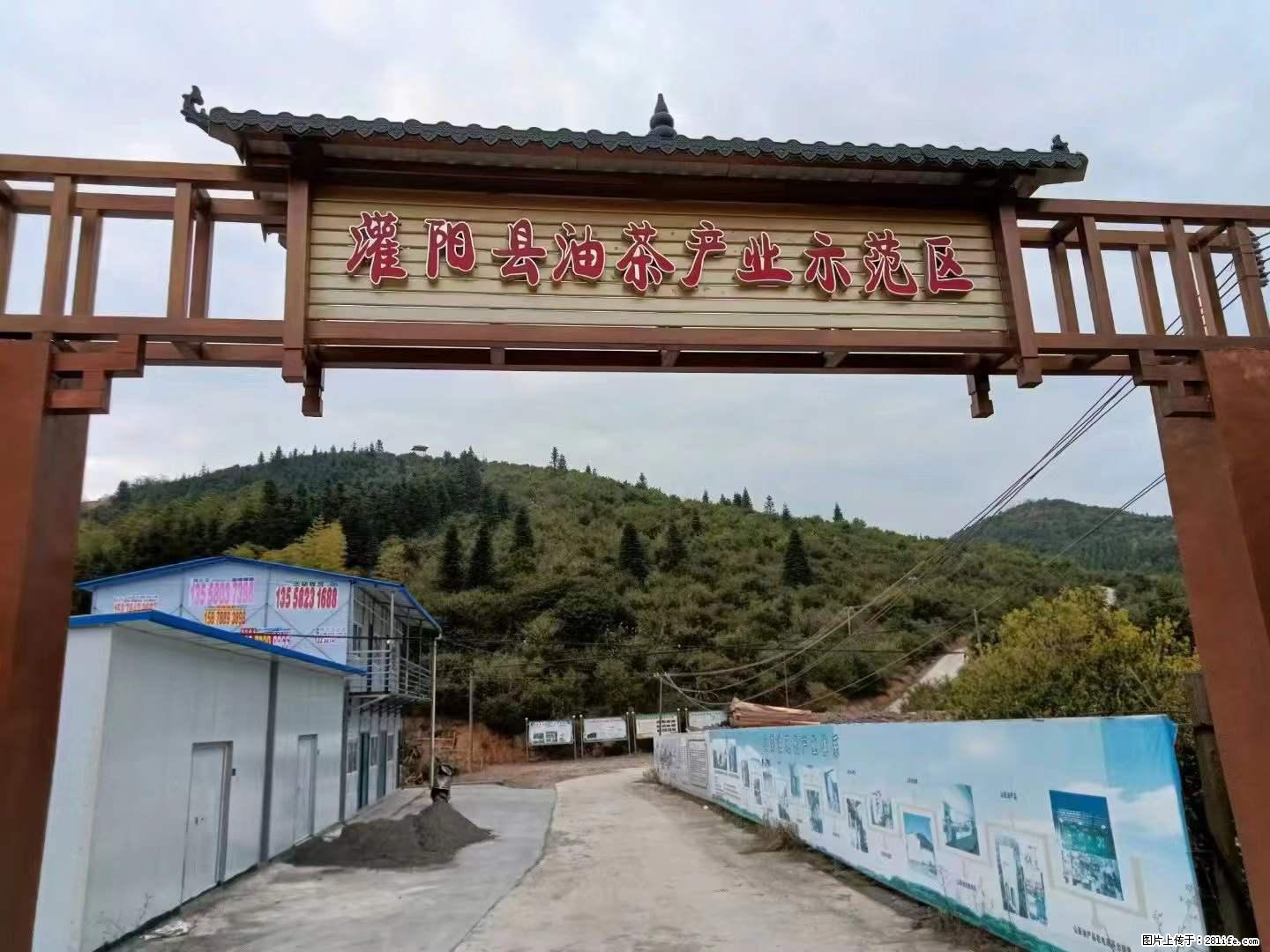 【灌阳县油茶产业示范区】一个有着充实的精神生活的人，对待身外之物自会有一种淡泊的态度 - 土特产 - 饮食特产 - 六安分类信息 - 六安28生活网 la.28life.net