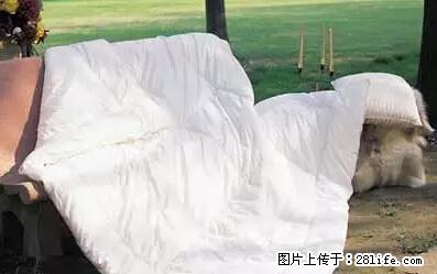 被子有异味？只要这样做，比晒太阳还强100倍！ - 家居生活 - 六安生活社区 - 六安28生活网 la.28life.net