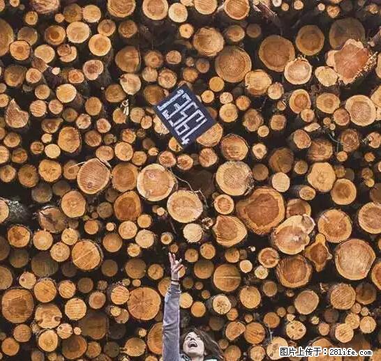 辞掉工作周游世界？现在他们在洗厕所…… - 游山玩水 - 六安生活社区 - 六安28生活网 la.28life.net