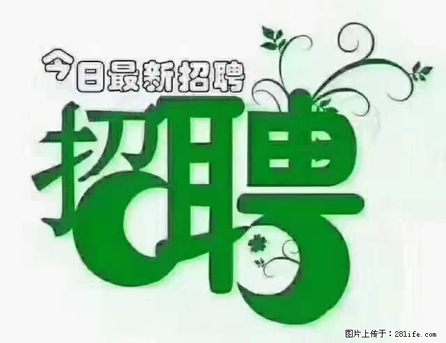 【招聘】产康师 - 职场交流 - 六安生活社区 - 六安28生活网 la.28life.net