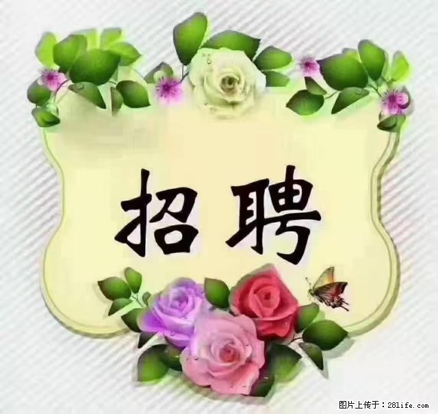 【招聘】住家育儿嫂，上户日期：4月4日，工作地址：上海 黄浦区 - 职场交流 - 六安生活社区 - 六安28生活网 la.28life.net