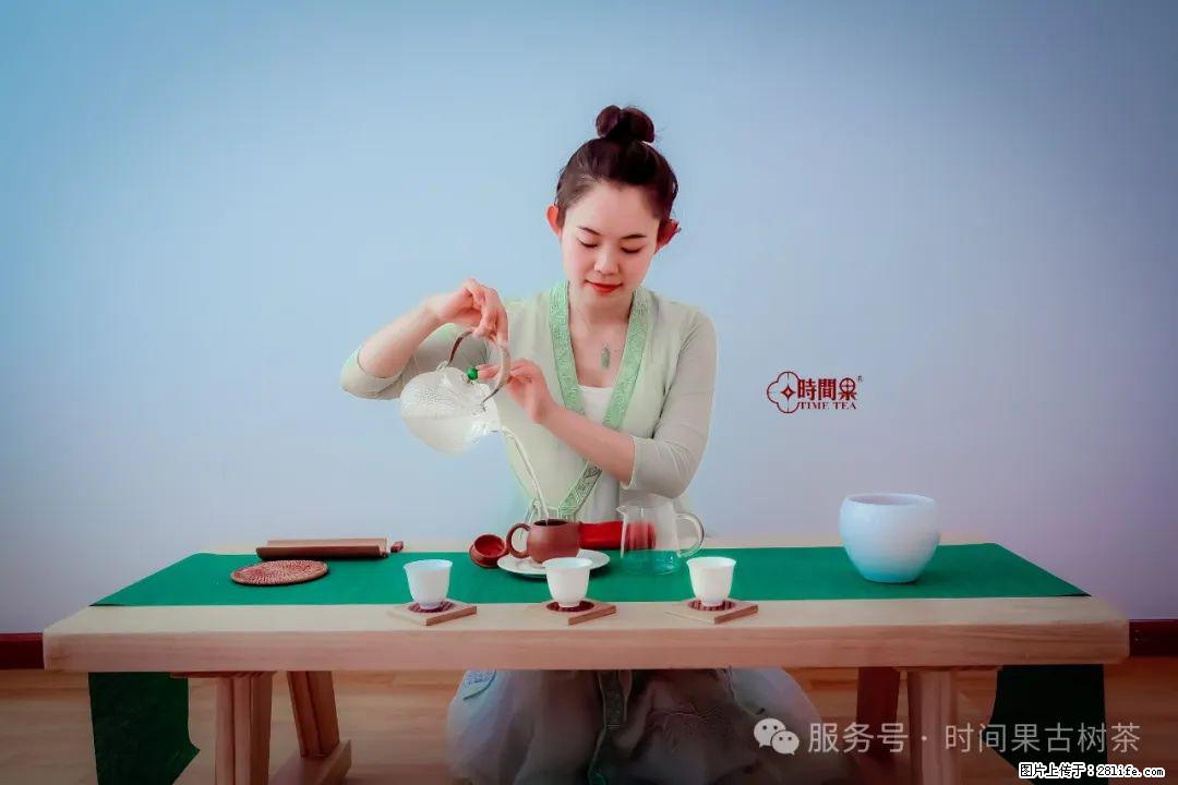 时间果百年古树龙珠普洱生茶 - 购物交流 - 六安生活社区 - 六安28生活网 la.28life.net