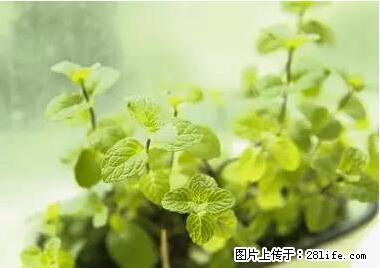 晕车、脚气、牙齿变黄、皮肤粗糙？学会这些三分钟搞定！ - 六安生活资讯 - 六安28生活网 la.28life.net