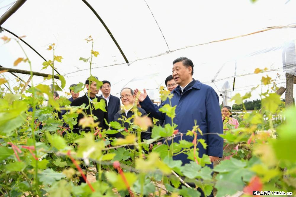 习近平赴广西考察调研 - 六安生活资讯 - 六安28生活网 la.28life.net