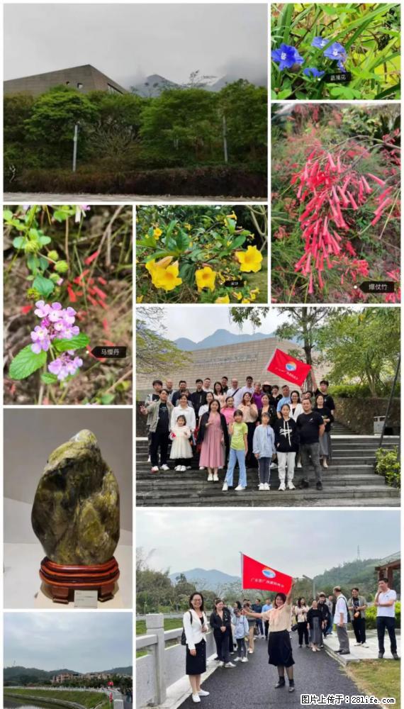 “粤灌文化 美好生活”油茶文化主题活动在广东深圳成功举办 - 六安生活资讯 - 六安28生活网 la.28life.net