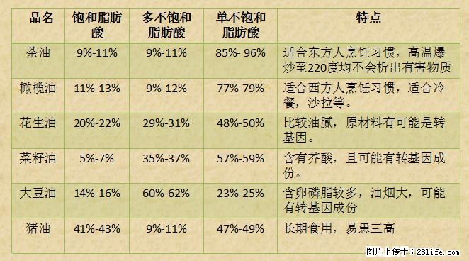 揭秘茶油的5大核心营养成分！被称为人体健康的“守护盾”！ - 六安生活资讯 - 六安28生活网 la.28life.net