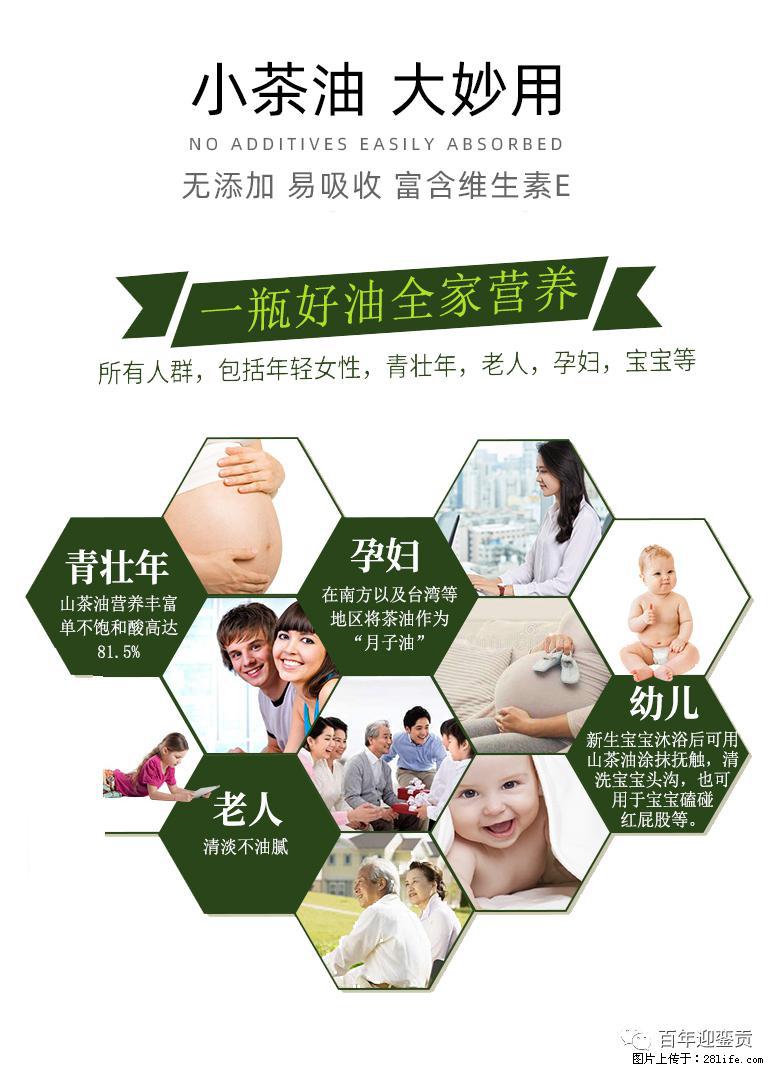 世界没有真相，只有认知，最好的食用油是中国的山茶油！ - 六安生活资讯 - 六安28生活网 la.28life.net