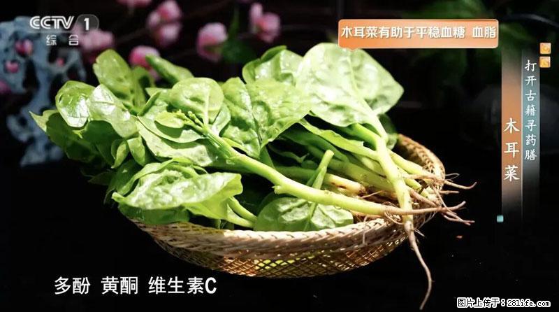 比牛奶补钙还厉害！凉血解毒、稳血糖...这菜冬天必吃，很多人却当草 - 六安生活资讯 - 六安28生活网 la.28life.net